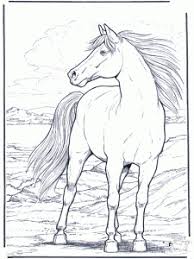 These spring coloring pages are sure to get the kids in the mood for warmer weather. Horses Free Printable Coloring Pages For Kids