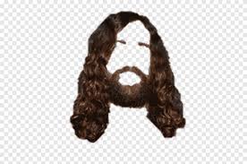 Coiffure homme montage photo est la meilleure application gratuite pour les hommes et vous aimerez ses caractéristiques étonnantes sûrement. Coiffure De Perruque Cheveux Gens Cheveux Png Pngegg