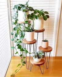 Pothos Pilea Succulents In 2020 Plant Decor Indoor House Plants Decor Plant Decor