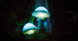 Maybe you would like to learn more about one of these? Glowing Mushrooms Made Of Pure Magic Bored Panda