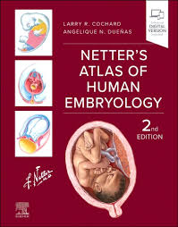 Image result for Embryology