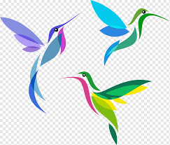Birds of a feather this page may not contain all kits available from birds of a feather. Hummingbird Cross Stitch Pattern Color Creative Peak Bird Leaf Branch Fauna Png Pngwing