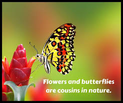 One must be constantly reminded of the blessings he receives in order to give back that love to others. Flower Quotes Flower Quotes Beautiful Flower Quotes Flowers And Butterflies