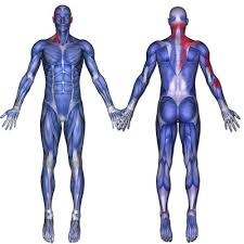 Pin On Back Neck And Shoulder Exercises For Pain Etc