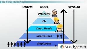 organizational chart and hierarchy definition examples