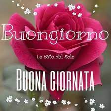 Pin Di Luciana Facco Su Foto Buongiorno Fiori Buongiorno Venerdi Buongiorno