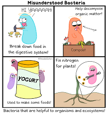 Misunderstood Bacteria Science With The Amoeba Sisters