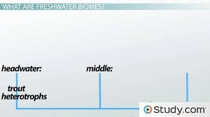 freshwater biomes climate locations plants animals