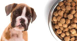 Then you need the best dog food for boxers to help give them a well rounded diet. Best Puppy Food For Boxers Health And Happiness