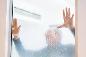 3m Fensterfolien Beratung Profi Montage Folien Leipzig De