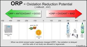 ph orp antioxidant ionized water aqualife