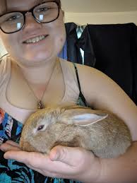 Approximate size of a year-old lionhead bunny and grooming tips