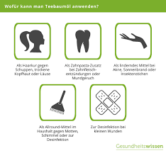 Da das unverdünnte öl jedoch zu hautreaktionen und reizungen führen kann, ist bei der behandlung äußerste vorsicht geboten. Teebaumol Anwendungen Inhaltsstoffe Deren Wirkung
