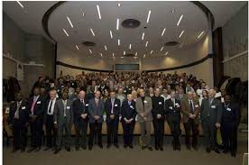 Image result for Stolzia cupuligera