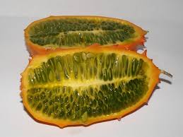 Image result for Cucumis metuliferus