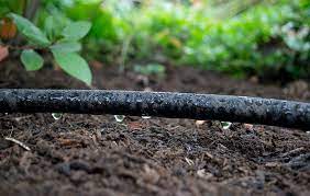 Start by measuring your garden and making a simple sketch. How To Install A Drip Irrigation System In Your Garden Soaker Hose Tips