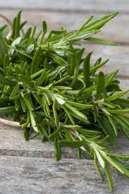 Learn more about rosemary uses, effectiveness, possible side effects, interactions, dosage, user ratings and products that contain rosemary. Rosemary Health Benefits Precautions And Drug Interactions