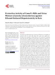 Camel's milk and urine to treat cancer proved from hadees.| Pdf Protective Activity Of Camel S Milk And Urine Mixture Camelus Dromedaries Against Ethanol Induced Hepatotoxicity In Rats