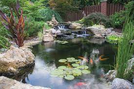 Dream Ponds Take A Cue From Mother Nature Pond Trade Magazine Backyard Water Feature Pond Construction Pond Design