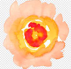 Watercolour Flowers Watercolor Painting Watercolor Rose Orange Color Chamomile Pn Watercolor Flowers Paintings Free Watercolor Flowers Blue Flower Painting