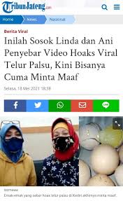 Makanan tradisional melayu ini biasanya tidak lengkap jika tidak dihidangkan bersama telur rebus, ikan bilis. Salah Telur Palsu Beredar Di Pasaran Turnbackhoax Id