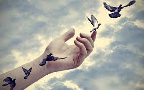 Original artworks for commercial use. Flying Birds Wallpapers Top Free Flying Birds Backgrounds Wallpaperaccess