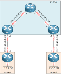 Mpls Layer 3 Vpn Pe Ce Ospf Sham Link