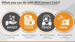 Calculate your apy or compound interest using our easy to use apy calculator, interest calculator. Earn Compounding Interest On Bitcoin Daily Steemit