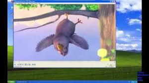 Vlc Videos Um 180 Grad Drehen Youtube