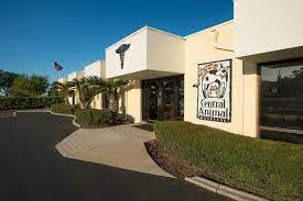 Maybe you would like to learn more about one of these? Central Animal Hospital St Petersburg Fl Linkedin
