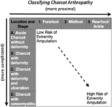 Charcot Neuroarthropathy Of The Foot And Ankle Madan 2013 Orthopaedic Surgery Wiley Online Library
