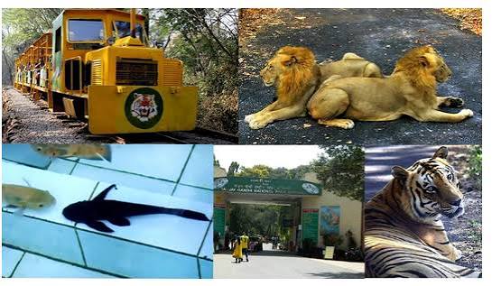 Sanjay Gandhi National Park Sight Seeing in Mumbai | ID: 19224879888