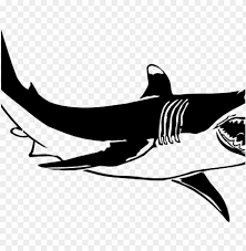 Find the perfect black and white shark stock photos and editorial news pictures from getty images. Shark Clipart Black And White Shark Clipart Black And Shark And The Goldfish Quotes Png Image With Transparent Background Toppng