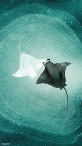 Download Premium Illustration Of Watercolor Painted Manta Rays In Green In 2020 Jellyfish Painting Jellyfish Illustration Painting Art Projects