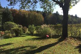 Im herbst ist die zeit der geranien auf dem balkon vorüber. Gartenpflege Im Herbst Das Sind Die Wichtigsten Arbeiten