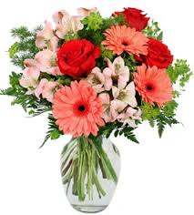 Maybe you would like to learn more about one of these? About Us Anna S Fresh Flowers Savannah Ga