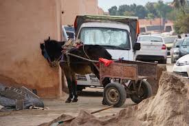 Explore the best of medina! Medina Von Marrakesch Ein Kleiner Blick In Die Stadt