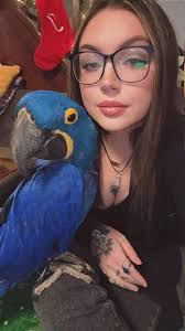 ✨ A Little About Me For Everyone New Here ✨ I have noticed a lot of new  faces lately, so I wanted to share a bit about who I am and how