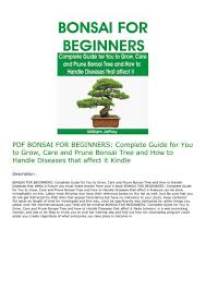 Easy, you simply klick bonsai. Pdf Bonsai For Beginners Complete Guide For You To Grow Care And Prune Bonsai Tree And How To Handle Diseases That Affect It Kindle Bonsai Tree Bonsai Prune