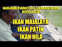 Kolam Pancing Jaman Now Youtube