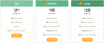 A small orange provides virtual private server and web hosting solutions for website and server owners. A Small Orange Review A Hidden Gem Marketever