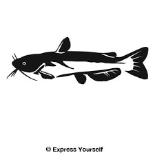 Download Channel Catfish Decal