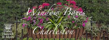 See more ideas about window boxes, garden windows, window box. Window Boxes Of Charleston Home Facebook