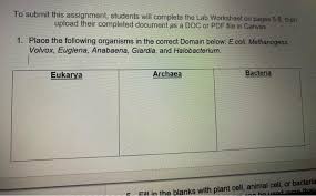 We did not find results for: To Submit This Assignment Students Will Complete The Chegg Com