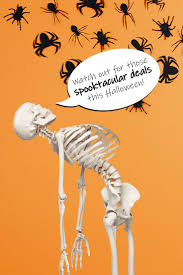 Spooky Deals At 3b Scientific Get A Discount On 3b Scientific Skeletons Skulls Brain Models And Any Lo Medical Education Brain Models Digestive System Model