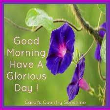 Pin By Eleanor Martinez On Good Morning Good Morning Good Night Friends Good Morning Greetings