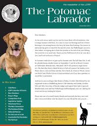 We did not find results for: Calameo Lrcp Newsletter
