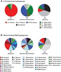 Image result for intext:"powered by ubb" sickle