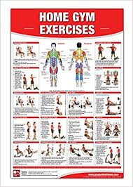 Home Gym Exercises Laminated Poster Chart Home Gym Chart