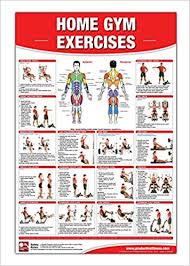 home gym exercises laminated poster chart home gym chart